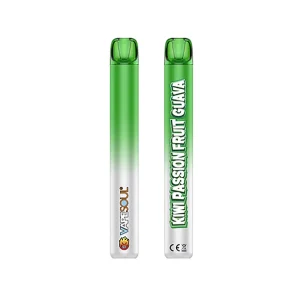 Mini Mesh Gold 3000 Puffs Disposable